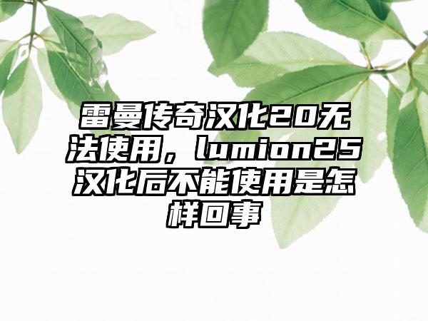 雷曼传奇汉化20无法使用，lumion25汉化后不能使用是怎样回事