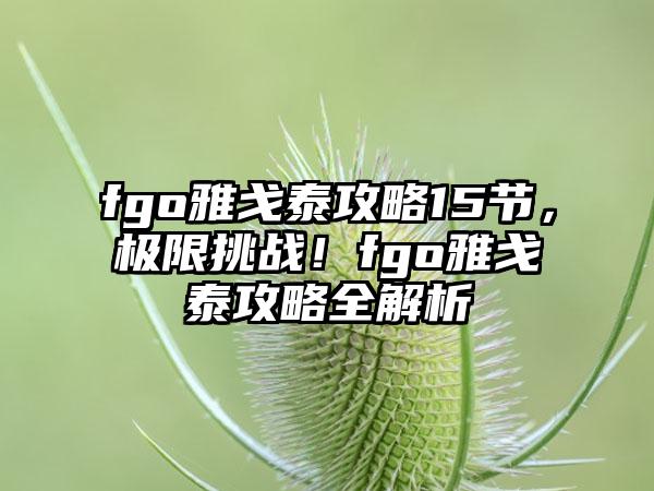 fgo雅戈泰攻略15节，极限挑战！fgo雅戈泰攻略全解析