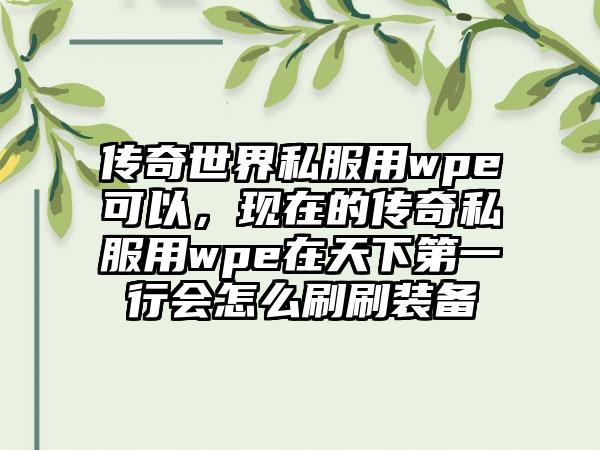 传奇世界私服用wpe可以，现在的传奇私服用wpe在天下第一行会怎么刷刷装备