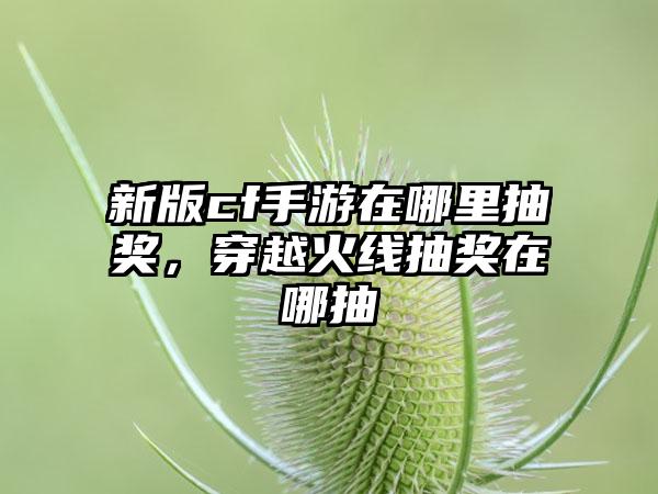 新版cf手游在哪里抽奖，穿越火线抽奖在哪抽
