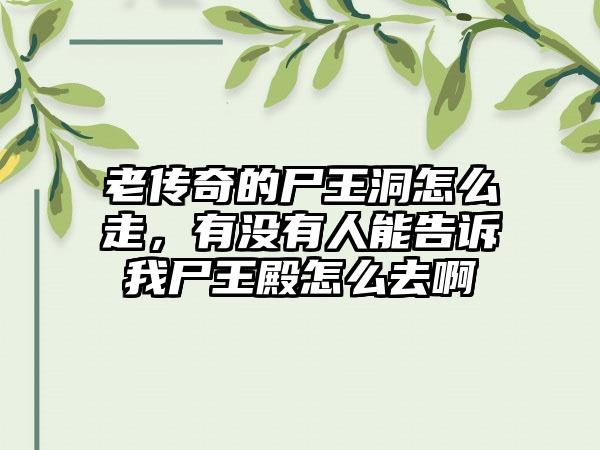 老传奇的尸王洞怎么走，有没有人能告诉我尸王殿怎么去啊