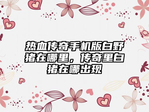 热血传奇手机版白野猪在哪里，传奇里白猪在哪出现