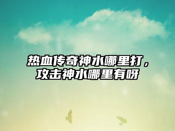 热血传奇神水哪里打，攻击神水哪里有呀
