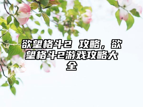 欲望格斗2 攻略，欲望格斗2游戏攻略大全