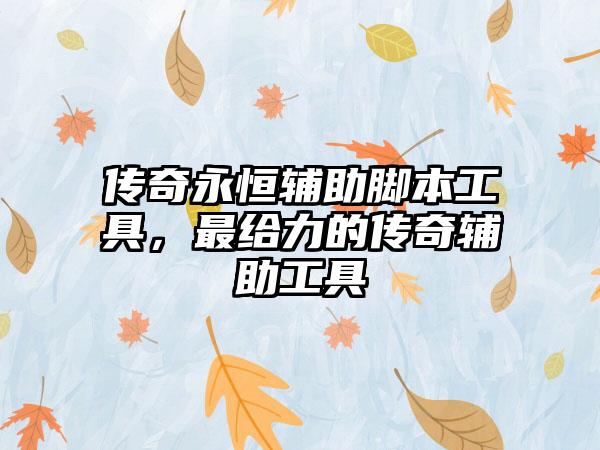 传奇永恒辅助脚本工具，最给力的传奇辅助工具