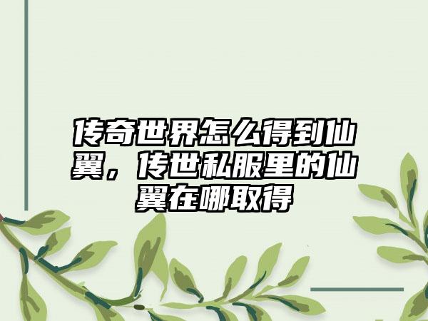 传奇世界怎么得到仙翼，传世私服里的仙翼在哪取得