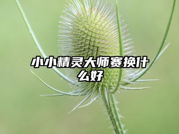 小小精灵大师赛换什么好