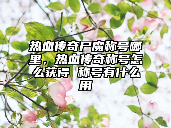 热血传奇尸魔称号哪里，热血传奇称号怎么获得 称号有什么用