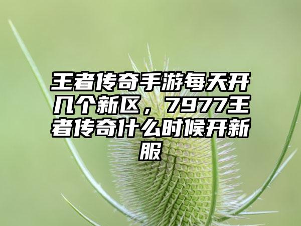 王者传奇手游每天开几个新区，7977王者传奇什么时候开新服