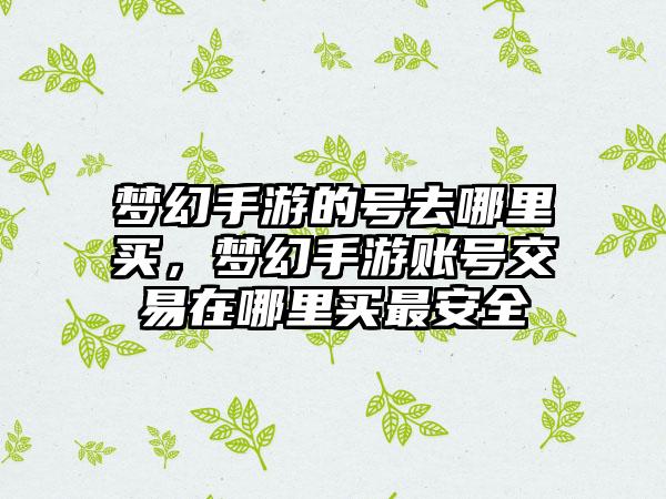 梦幻手游的号去哪里买，梦幻手游账号交易在哪里买最安全