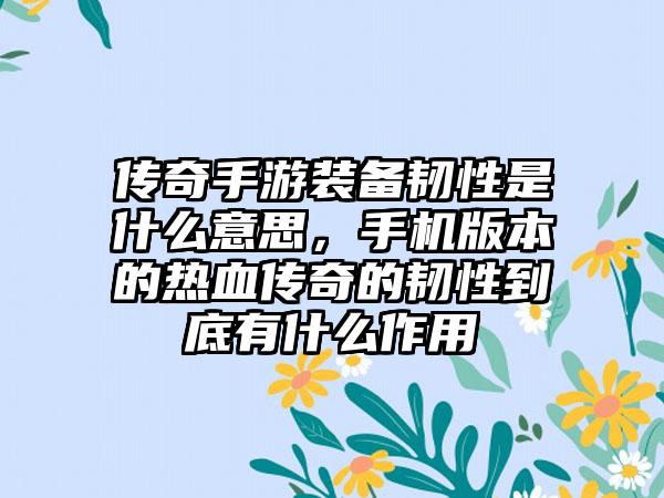 传奇手游装备韧性是什么意思，手机版本的热血传奇的韧性到底有什么作用