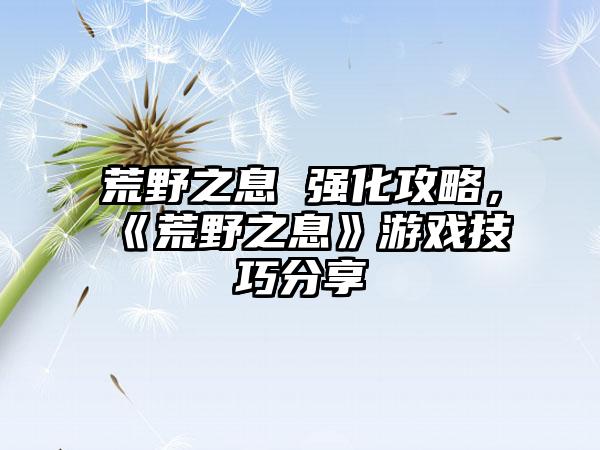 荒野之息 强化攻略，《荒野之息》游戏技巧分享