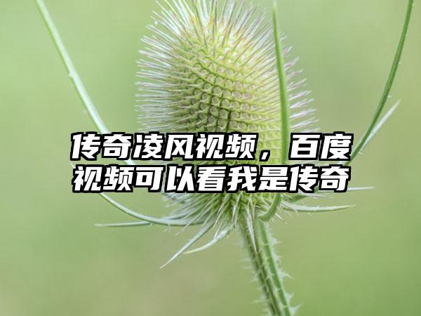 传奇凌风视频，百度视频可以看我是传奇