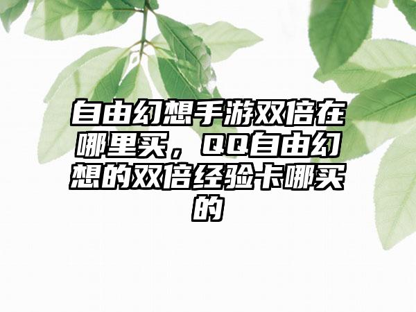自由幻想手游双倍在哪里买，QQ自由幻想的双倍经验卡哪买的