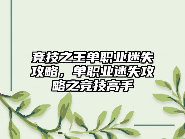 竞技之王单职业迷失攻略，单职业迷失攻略之竞技高手