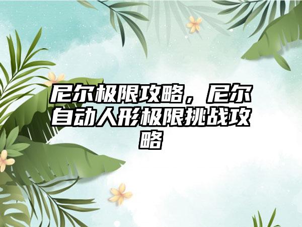 尼尔极限攻略，尼尔自动人形极限挑战攻略