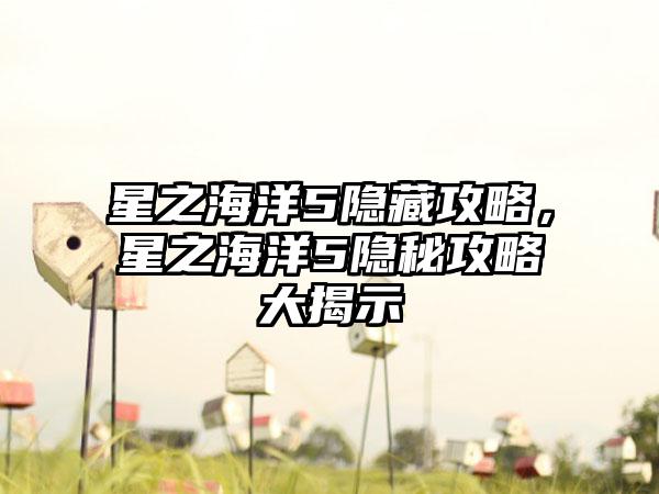 星之海洋5隐藏攻略，星之海洋5隐秘攻略大揭示