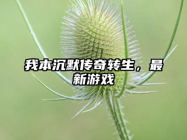 我本沉默传奇转生，最新游戏