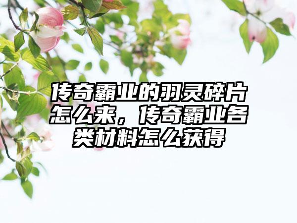 传奇世界2里尸王殿在哪里，传奇世界的尸王殿在哪里几个小时可以进一次