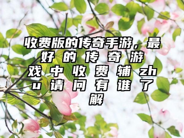 收费版的传奇手游，最 好 的 传 奇 游 戏 中 收 费 辅 zhu 请 问 有 谁 了 解