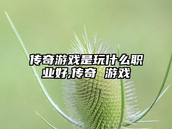 传奇游戏是玩什么职业好,传奇 游戏