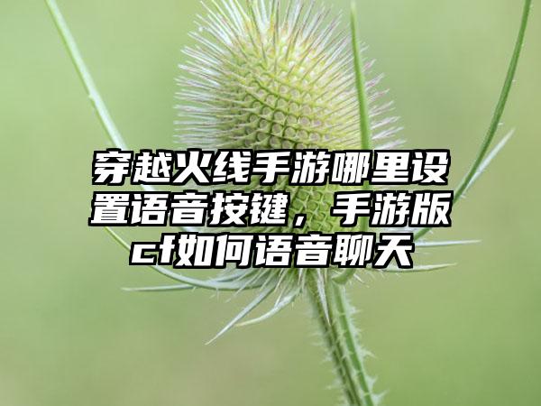 穿越火线手游哪里设置语音按键，手游版cf如何语音聊天