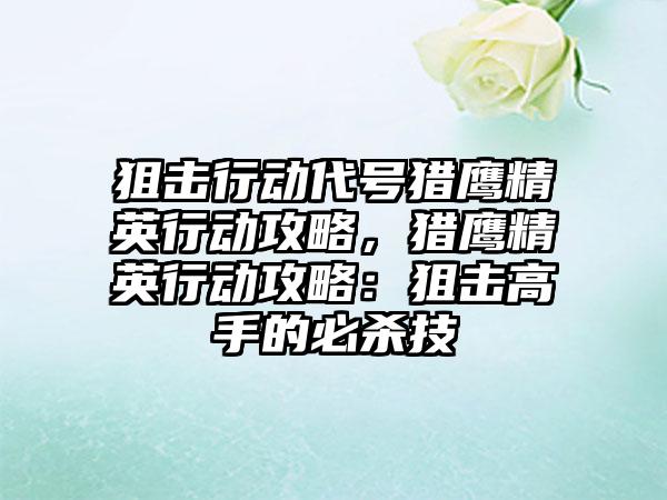 狙击行动代号猎鹰精英行动攻略，猎鹰精英行动攻略：狙击高手的必杀技