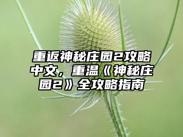 重返神秘庄园2攻略中文，重温《神秘庄园2》全攻略指南