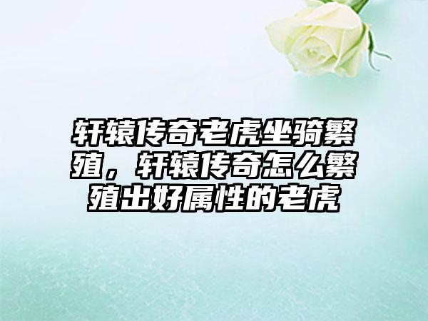 轩辕传奇老虎坐骑繁殖，轩辕传奇怎么繁殖出好属性的老虎