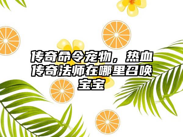 传奇命令宠物，热血传奇法师在哪里召唤宝宝
