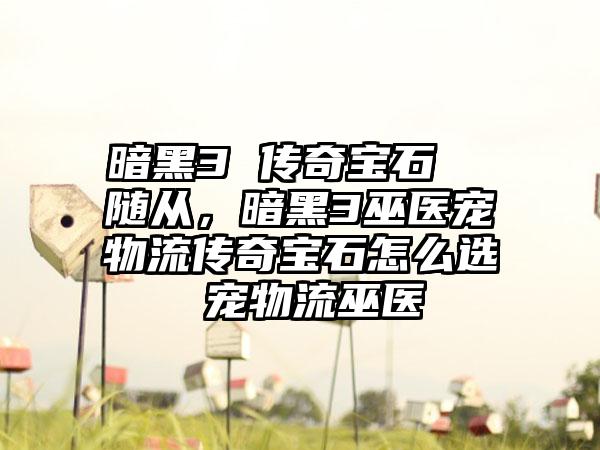 暗黑3 传奇宝石  随从，暗黑3巫医宠物流传奇宝石怎么选 宠物流巫医
