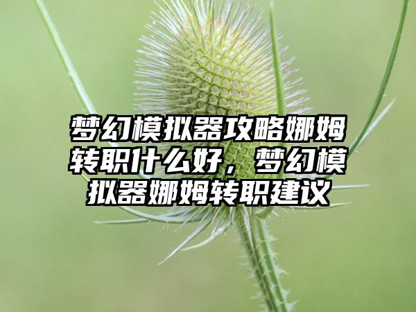 梦幻模拟器攻略娜姆转职什么好，梦幻模拟器娜姆转职建议