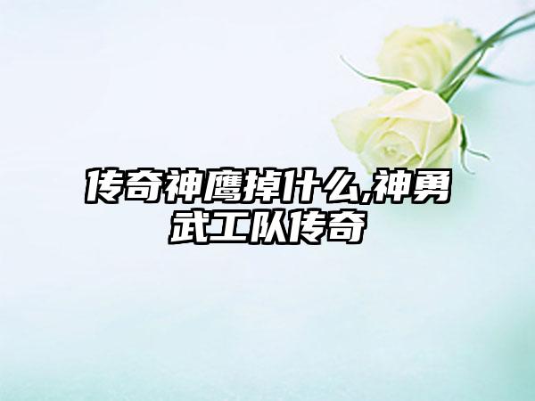 传奇神鹰掉什么,神勇武工队传奇
