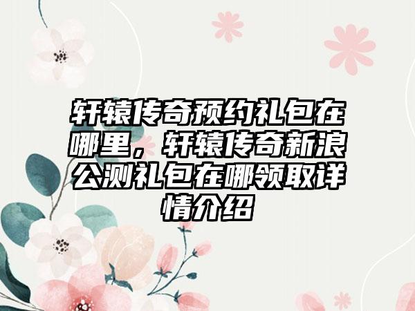 轩辕传奇预约礼包在哪里，轩辕传奇新浪公测礼包在哪领取详情介绍