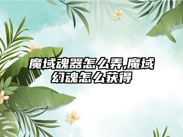 魔域魂器怎么弄,魔域幻魂怎么获得