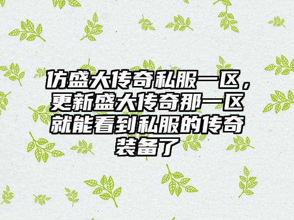 仿盛大传奇私服一区，更新盛大传奇那一区就能看到私服的传奇装备了