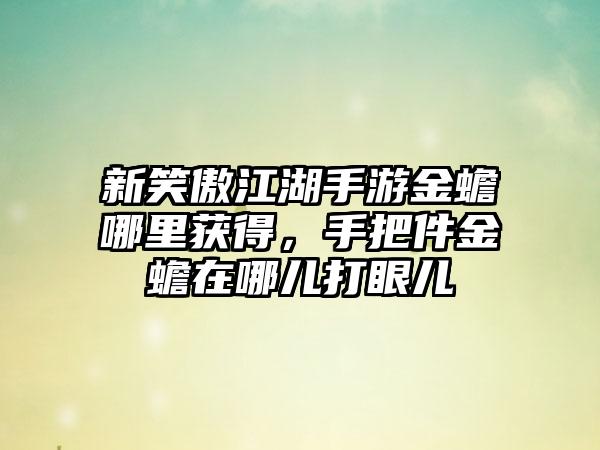 新笑傲江湖手游金蟾哪里获得，手把件金蟾在哪儿打眼儿