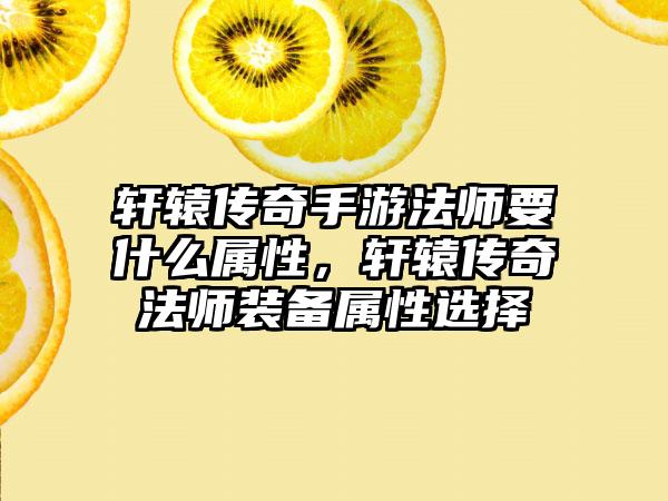轩辕传奇手游法师要什么属性，轩辕传奇法师装备属性选择