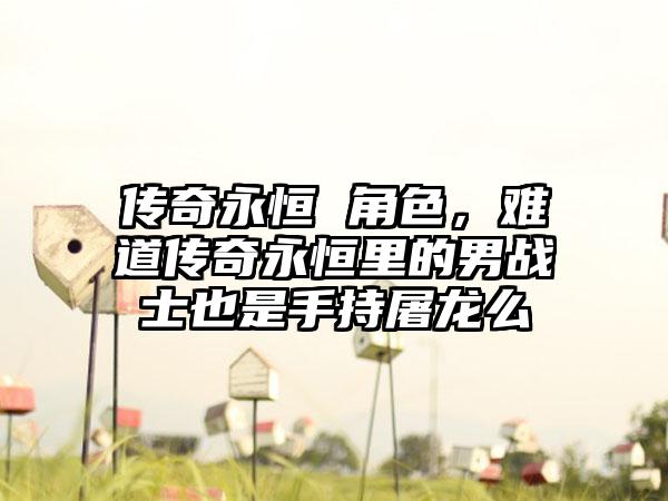 传奇永恒 角色，难道传奇永恒里的男战士也是手持屠龙么