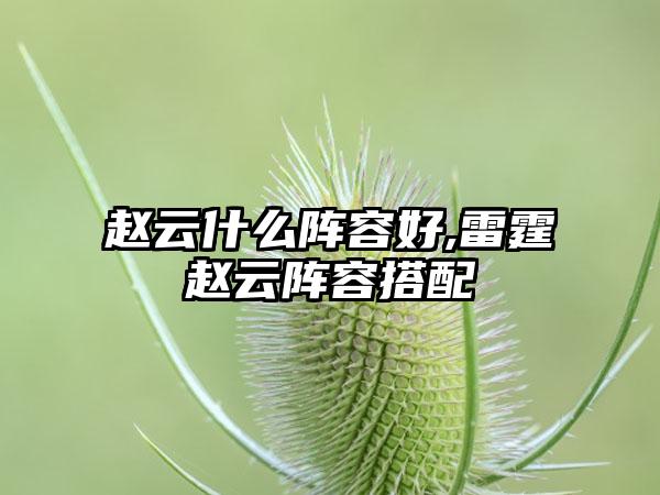 赵云什么阵容好,雷霆赵云阵容搭配