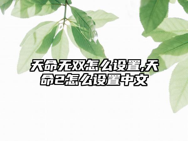 天命无双怎么设置,天命2怎么设置中文