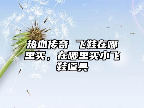 热血传奇 飞鞋在哪里买，在哪里买小飞鞋道具