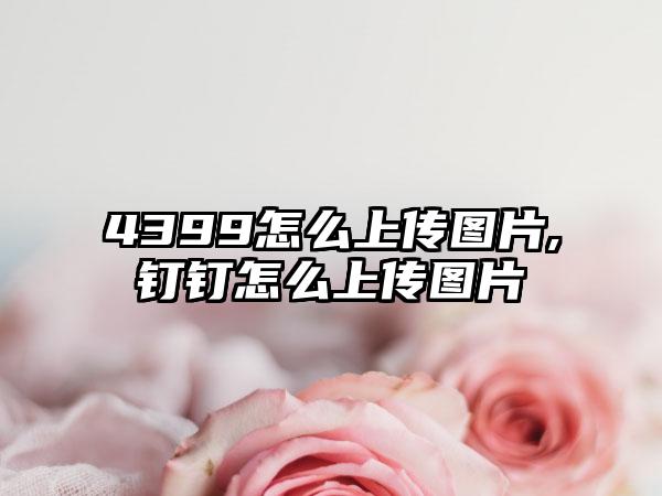 4399怎么上传图片,钉钉怎么上传图片