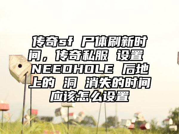 传奇sf 尸体刷新时间，传奇私服 设置 NEEDHOLE 后地上的 洞 消失的时间应该怎么设置