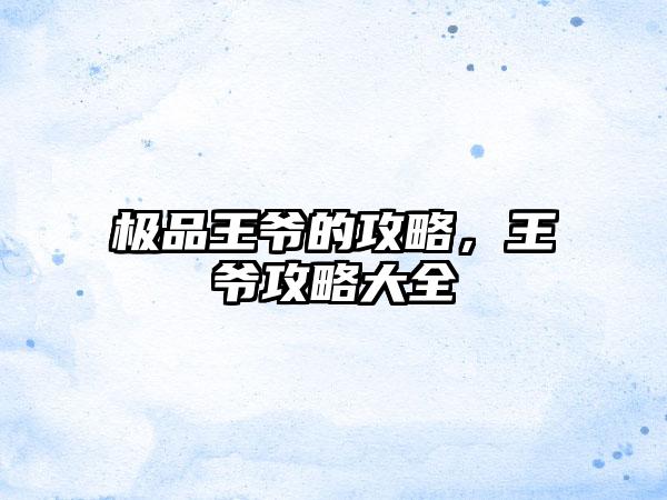 极品王爷的攻略，王爷攻略大全