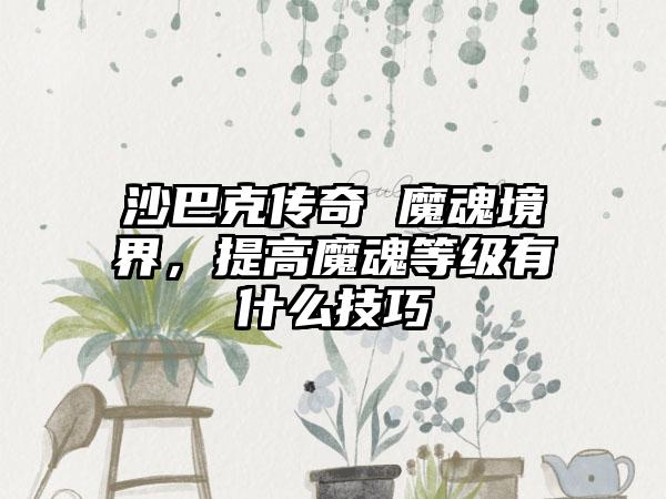 沙巴克传奇 魔魂境界，提高魔魂等级有什么技巧