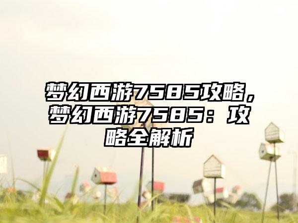 梦幻西游7585攻略，梦幻西游7585：攻略全解析