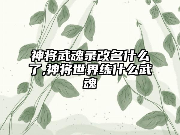 神将武魂录改名什么了,神将世界练什么武魂