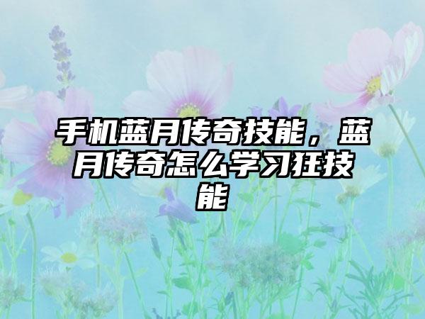 手机蓝月传奇技能，蓝月传奇怎么学习狂技能