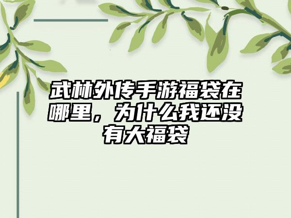 武林外传手游福袋在哪里，为什么我还没有大福袋
